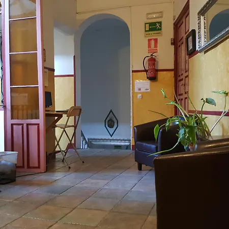 Nuevo Pino Pensión 2*